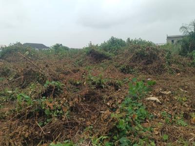 2 Plots of Land in a Well Developed Neighborhood with Good Access Road, Fidiso Estate, Abijo, Lekki, Lagos, Residential Land for Sale