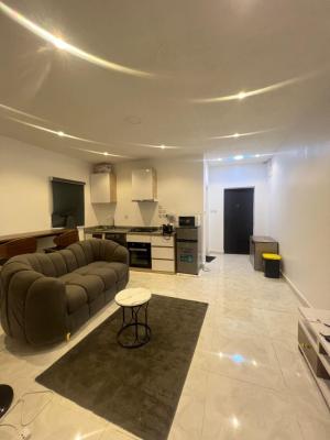 Serviced 1 Bedroom Apartment with Inverter in Lekki Ph1, Lekki Phase 1, Lekki, Lagos, Mini Flat (room and Parlour) for Rent