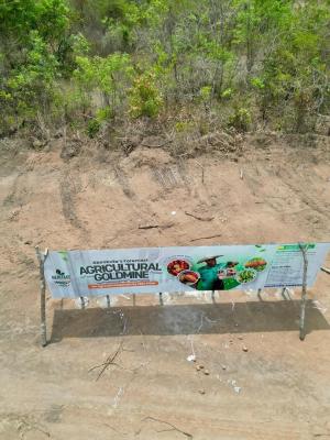 Own Acres of Fertile Land and Make a Significant Returns From Agriculture, Alabata, Abeokuta North, Ogun, Land for Sale