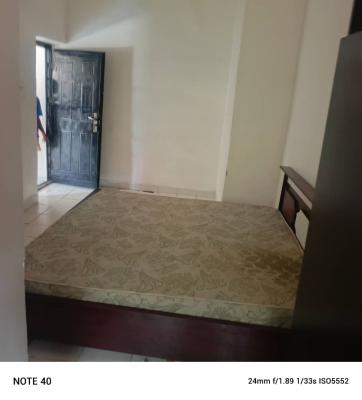 a Very Nice 1 Bedroom Apartment in a Very Nice Estate on Tarred Road, Gaduwa, Abuja, Mini Flat (room and Parlour) for Rent