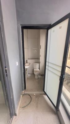 Neatly Semi-furnished 2-bedroom Apartment with Swimming Pool, Lekki Phase 1, Lekki, Lagos, Flat / Apartment for Rent