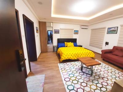 Nicely Furnished Studio Apartment, Wuse 2, Abuja, Self Contain (single Rooms) Short Let