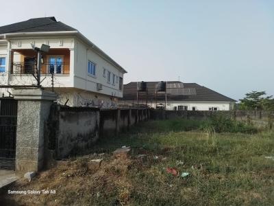 290sqm Plot, Behind Cedarcrest and Rockvale Manor, Apo, Abuja, Residential Land for Sale