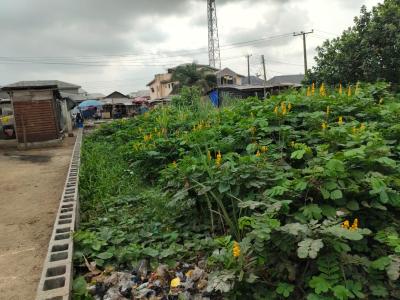 827 Sqm Land Very Close to Road, Igando Orudu, Ibeju Lekki, Lagos, Mixed-use Land for Sale