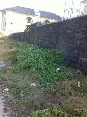 a 4,000 Square Meter of Land , with Lagos C of O, Kofo Abayomi/ Musa Yar Adua Street, Victoria Island, Lagos, Victoria Island (vi), Lagos, Commercial Land for Sale