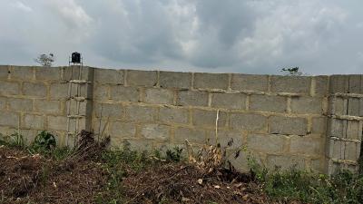 Casava Farm, Ibadan, Oyo, Commercial Land for Sale