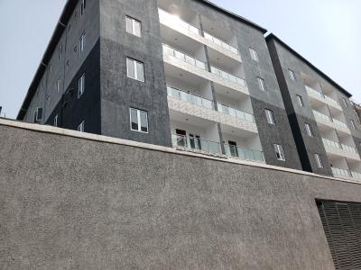 Serviced with 2/7 Power Supply 2 Bedroom En-suite Flat, Lekki Phase 1, Lekki, Lagos, Flat / Apartment for Rent