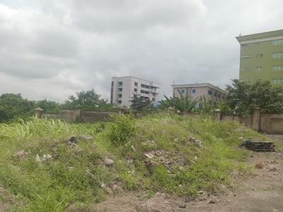 Full Plot of Land, Off Adeshina Street Oke-ira, Ogba, Ikeja, Lagos, Land for Sale