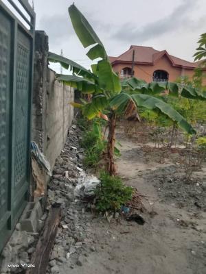 Desirable Land, Corona School, Abijo, Lekki, Lagos, Mixed-use Land for Sale
