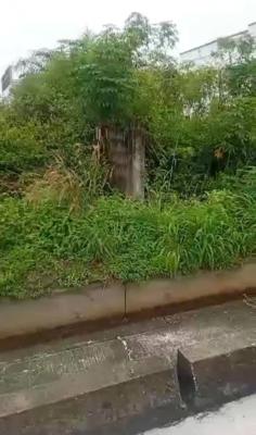Dry Land Measuring 450sqm, Beechwood Estate, Bogije, Ibeju Lekki, Lagos, Residential Land for Sale