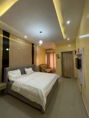 4 Bedroom Terraced Duplex, Ikate, Lekki, Lagos, Terraced Duplex Short Let