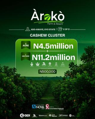 Own a Cluster at Aroko Farm & Resort in Oyo, Oyo State, Aroko Farm & Resort, Ado-awaye, Iseyin, Oyo, Commercial Land Joint Venture