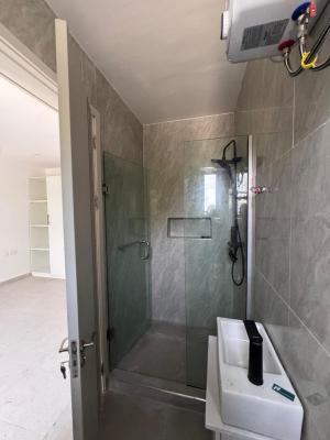 Luxury 3 Bedroom Apartment with Excellent Facility, Ikate, Lekki, Lagos, Flat / Apartment for Rent