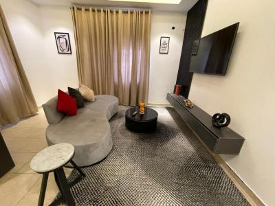 Furnished Miniflat, Lekki Phase 1, Lekki, Lagos, Mini Flat (room and Parlour) for Rent