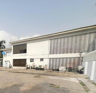 7-bedroom Semi-detached House with 3-bedroom Guest House, Off First Avenue, Old Ikoyi, Ikoyi, Lagos, Semi-detached Duplex for Rent