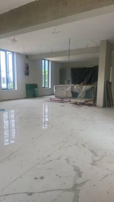 N4b Ikoyi Luxurious Duplex with Swimming Pool, Elevator & Cinema, Banana Island, Ikoyi, Lagos, Detached Duplex for Sale