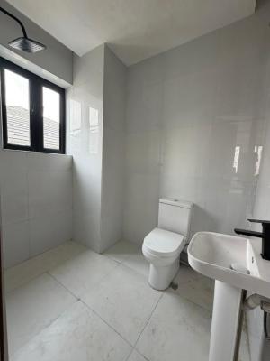Luxury 2 Bedroom Flat, Ikate, Ikate, Lekki, Lagos, Flat / Apartment for Rent