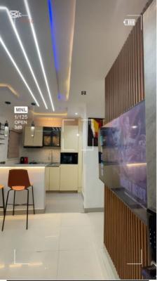 Fully Furnished One Bedroom Apartment with Open Plan Kitchen in Lekki, Lekki Phase 1, Lekki, Lagos, Mini Flat (room and Parlour) for Rent