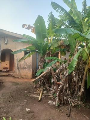 4 Bedroom Bungalow, Ipaja, Ayobo, Lagos, Detached Bungalow for Sale