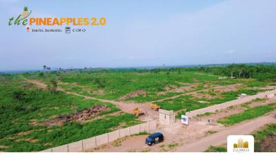 Invest in Plots and Acres of Genuine Land with C of O, The Pineapples Estate Phase 2, Imota, Ikorodu, Lagos, Residential Land for Sale