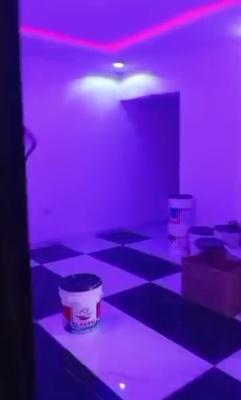 Newly Built Spacious Ready to Move in One Bedroom Apartment, Itire-ikate, Surulere, Lagos, Mini Flat (room and Parlour) for Rent