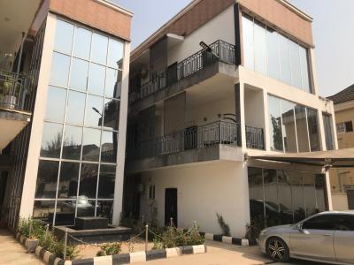 Beautiful 2 Bedrooms Spacious Serviced & Furnished Apartment,inverter, in a Secured Neighborhood, Mabushi, Abuja, Flat / Apartment for Rent