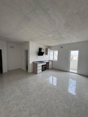 Fully Serviced Miniflat + Elevator, Ikate Elegushi, Lekki, Lagos, Mini Flat (room and Parlour) for Rent