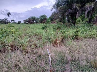 a Spacious Dry Plot of Land, Ibeju Lekki, Lagos, Residential Land for Sale
