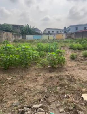 8000sqm of Land, Egbeda Idimu Road., Alimosho, Lagos, Land for Sale