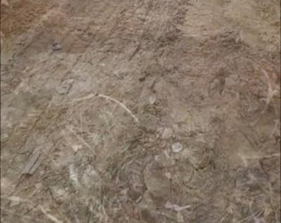 Serviced Residential Plots with Fcda Approved Title Land, Sabo Gida Karsana, Gwarinpa, Abuja, Land for Sale