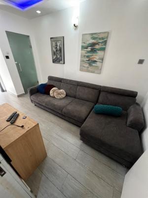 Super-clean, Serviced and Fully Furnished One Bedroom Flat, Lekki Phase 1, Lekki, Lagos, Mini Flat (room and Parlour) for Rent