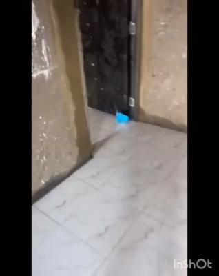 Newly Renovated Miniflat Apartment, Off Akilo Road, Ogba, Ikeja, Lagos, Mini Flat (room and Parlour) for Rent