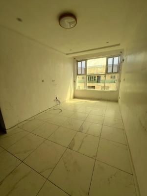 Well Renovated & Spacious 2 Bedrooms Flat, Ikate, Lekki, Lagos, Flat / Apartment for Rent