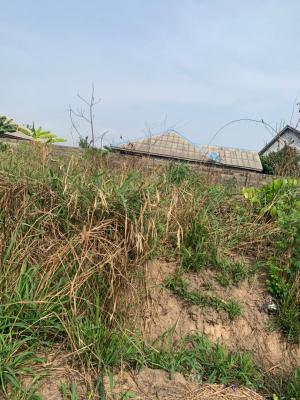 Half Plot of Land with C of O, Island Estate, Mowe Town, Ogun, Residential Land for Sale