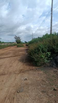 Buy and Develop in a Choice Location, Satellite Town Layout, Enugu, Enugu, Mixed-use Land for Sale