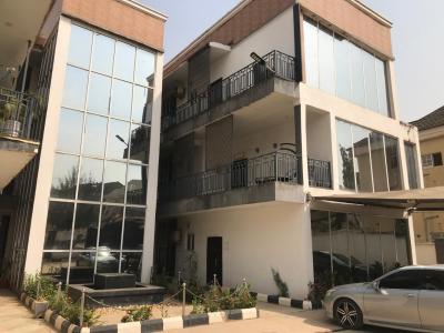 a Fully Furnished & Serviced 2-bedroom Flat, Mabushi, Abuja, Flat / Apartment for Rent