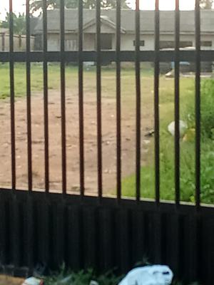 2-plots of Mixed-use Land (988sqm), Ikorodu - Shagamu Road, Ikorodu, Lagos, Mixed-use Land for Sale