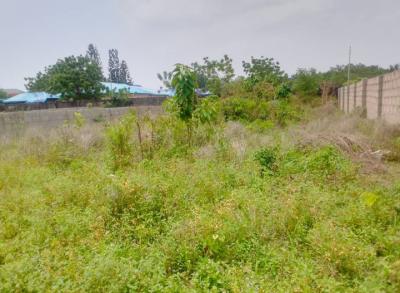 4 Plots of Dry Table Land, By Container Bus Stop, Awoyaya, Ibeju Lekki, Lagos, Commercial Land for Sale