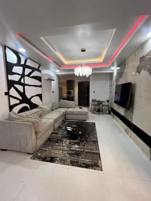 Furnished 2 Bedroom Apartment with Bq in Ikate, Lekki, Ikate, Lekki, Lagos, Flat / Apartment for Rent