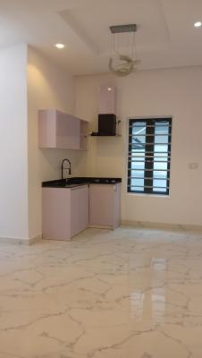 Downstairs Shared Mini Flat Apartment in Chevy View Estate, Chevy View Estate, Lekki, Lagos, Self Contain (single Rooms) for Rent