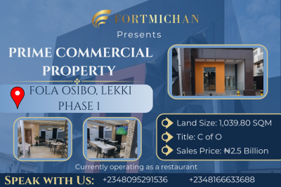 Prime Commercial Property, Fola Osibo, Lekki Phase 1, Lekki, Lagos, Commercial Property for Sale