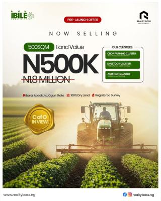 Secure Your Space in a Community Built for Growth and Opportunity., Abeokuta North, Ogun, Mixed-use Land for Sale