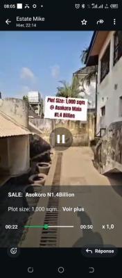 Asokoro Main, Asokoro, Asokoro District, Abuja, Detached Duplex for Sale