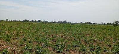 3 Hectares of Farmland, Karu Lga, Nasarawa State, Nigeria., Karu, Nasarawa, Mixed-use Land for Sale