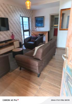 1 Bedroom Furnished Apartment, Oniru Estate, Victoria Island (vi), Lagos, Mini Flat (room and Parlour) for Rent