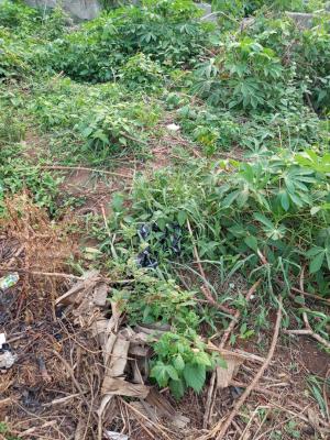 998sqm Plain Land Most Executive Estates, Carlton Gate Estate Chevron Drive, Lekki, Lagos, Residential Land for Sale