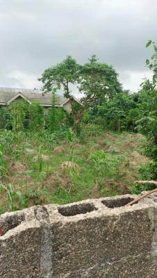 a Dry Land Measuring 384.517sqm, Kaiyetoro Village Ibeju Lekki, Eleko, Ibeju Lekki, Lagos, Residential Land for Sale