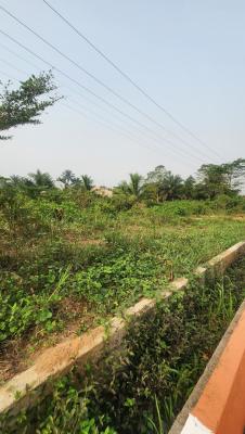 a Fantastic Parcel of Land, Along Airport Road By Airport Junction, Uyo, Akwa Ibom, Commercial Land for Sale