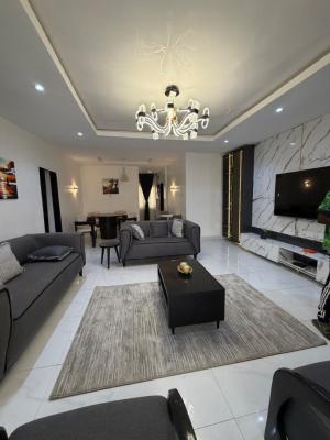 Furnished and Standard 2 Bedroom Apartment, Guzape District, Abuja, Flat / Apartment for Rent