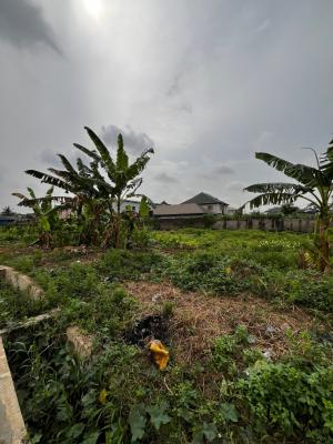 Virgin Land Available in a Gated Street of Kudirat Abiola, Oregun, Oregun, Ikeja, Lagos, Residential Land for Sale